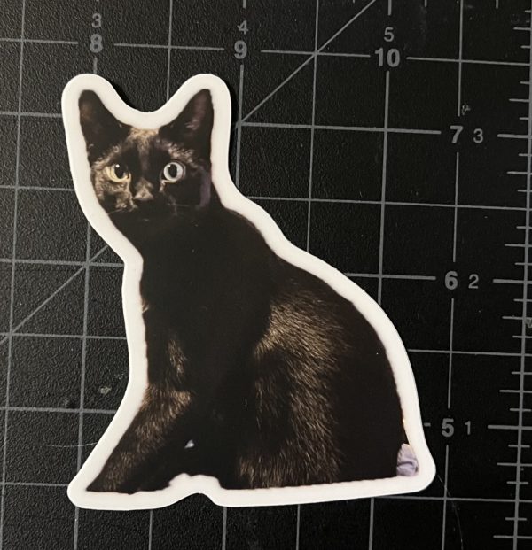 Thunderkitty Sticker